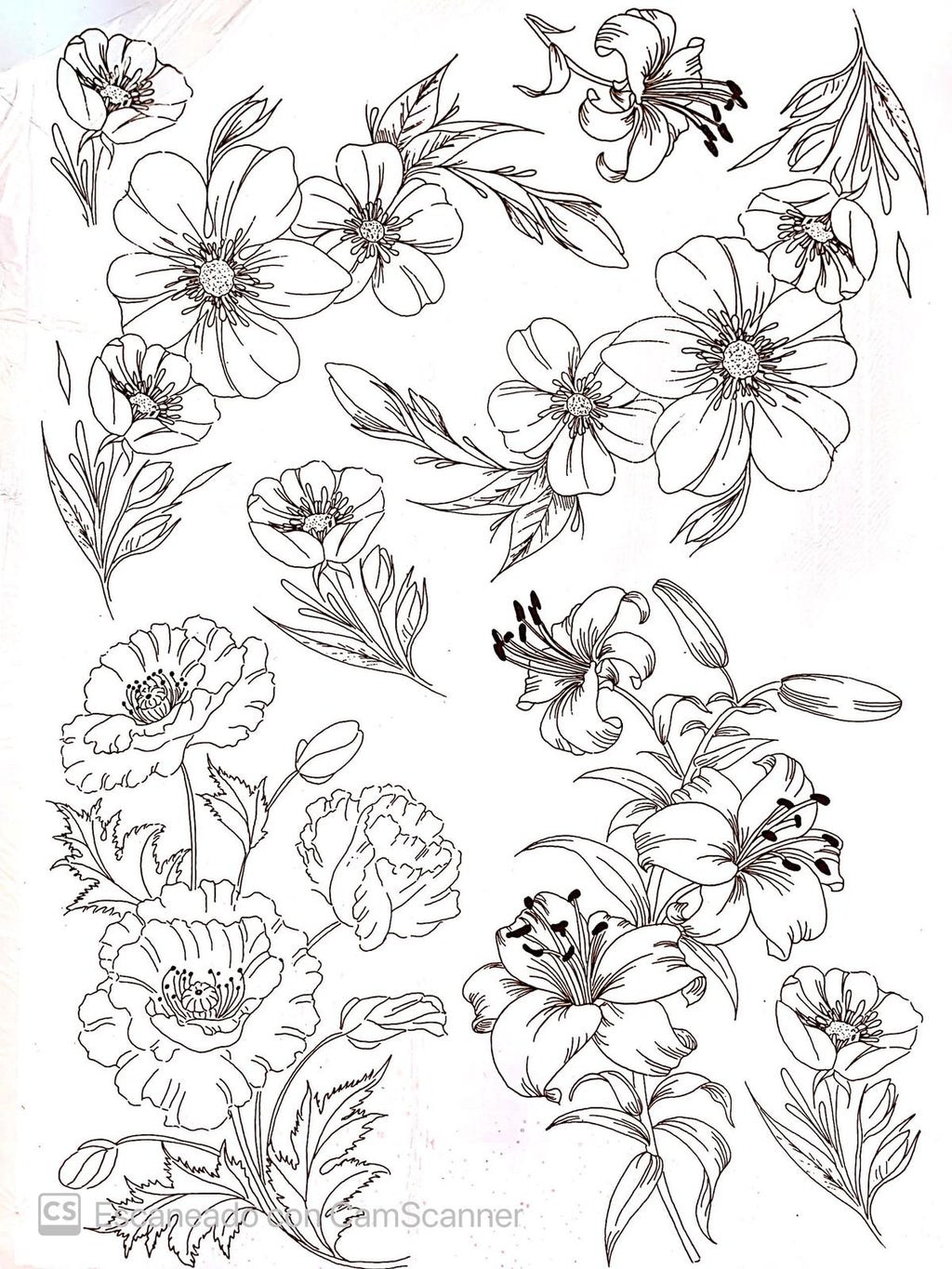 Calco Vitrificable para Porcelana 23x33cm. Diseño 176