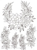 Calca Vitrificable para Porcelana 23x33cm, Diseño 166