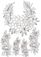 Calca Vitrificable para Porcelana 23x33cm, Diseño 166