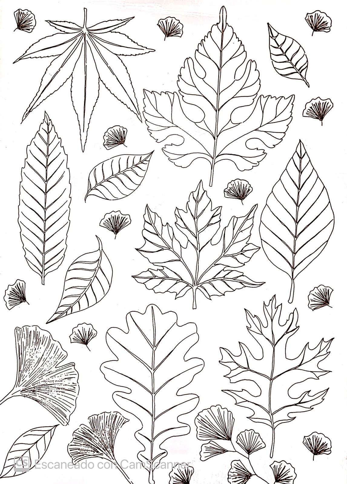 Calca Vitrificable para Porcelana 23x33, Diseño 163