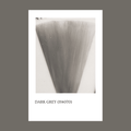 Pigmento Dark Grey (H4070) 5gr