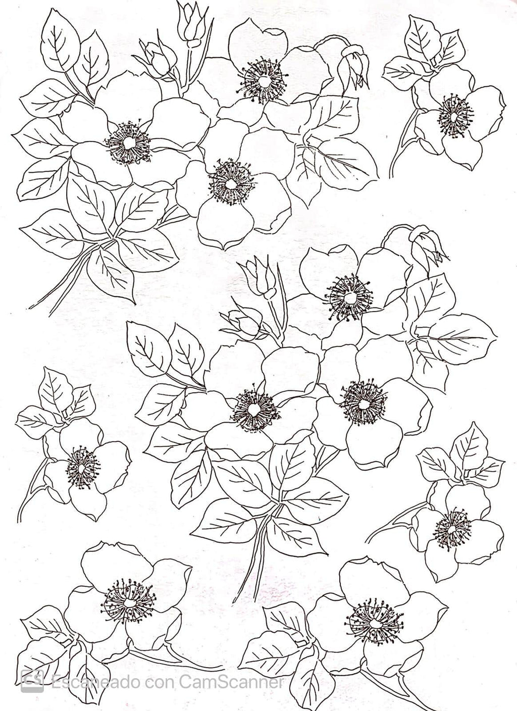 Calca Vitrificable para Porcelana 23x33cm, Diseño 170