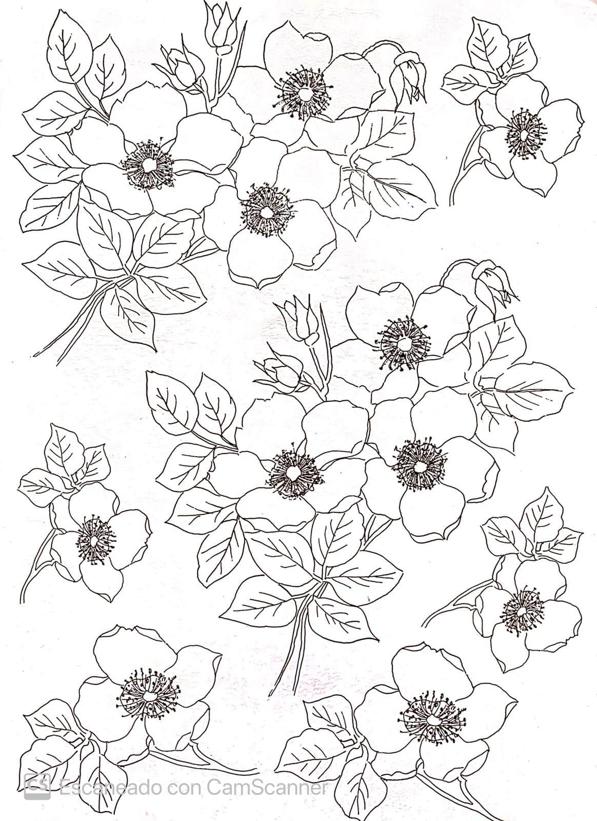 Calca Vitrificable para Porcelana 23x33cm, Diseño 170