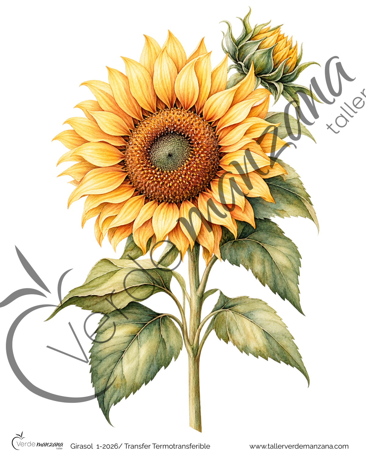 Transfer Girasol 01 – Termoadhesivo para Tela y Superficies Pintadas