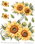Transfer Girasol 02 – Termoadhesivo para Tela y Superficies Pintadas