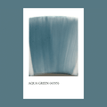 Pigmento Aqua Green 5gr