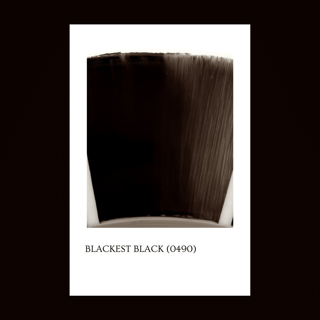 Pigmento Blackest Black (R49) 5 gr