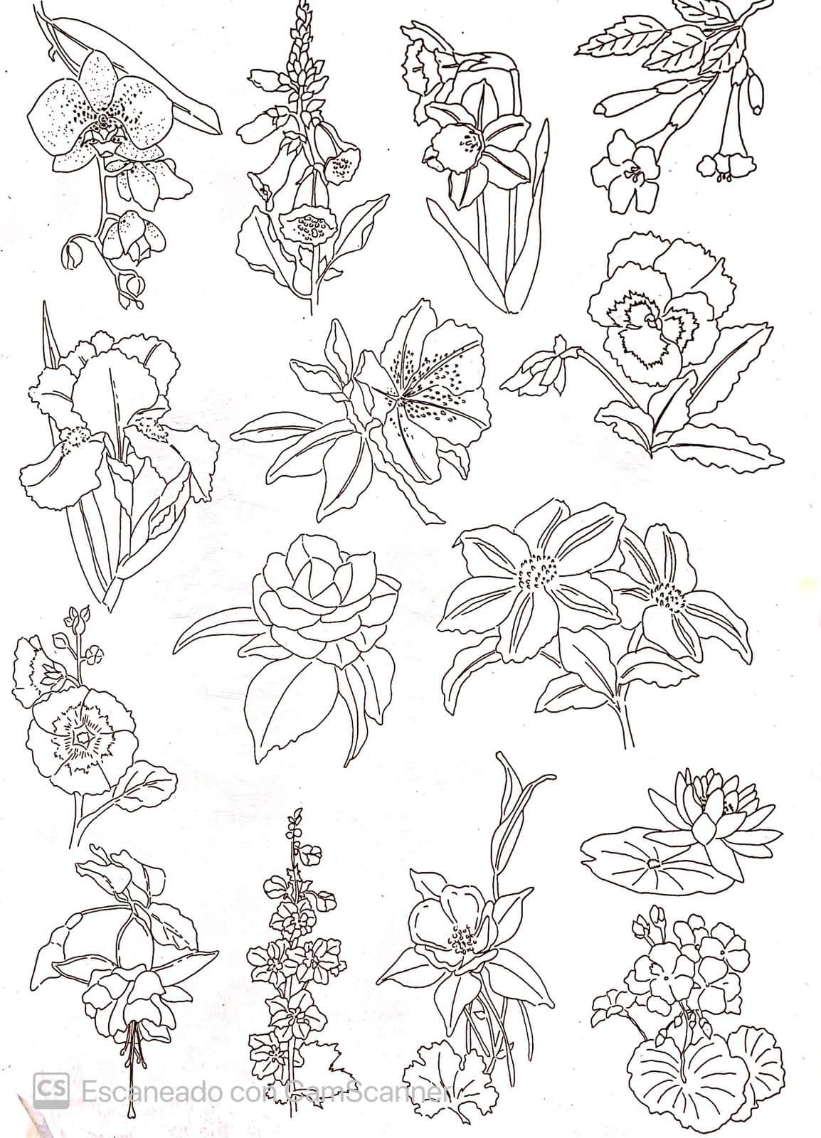 Calca Vitrificable para Porcelana 23x33cm, Diseño Número 181