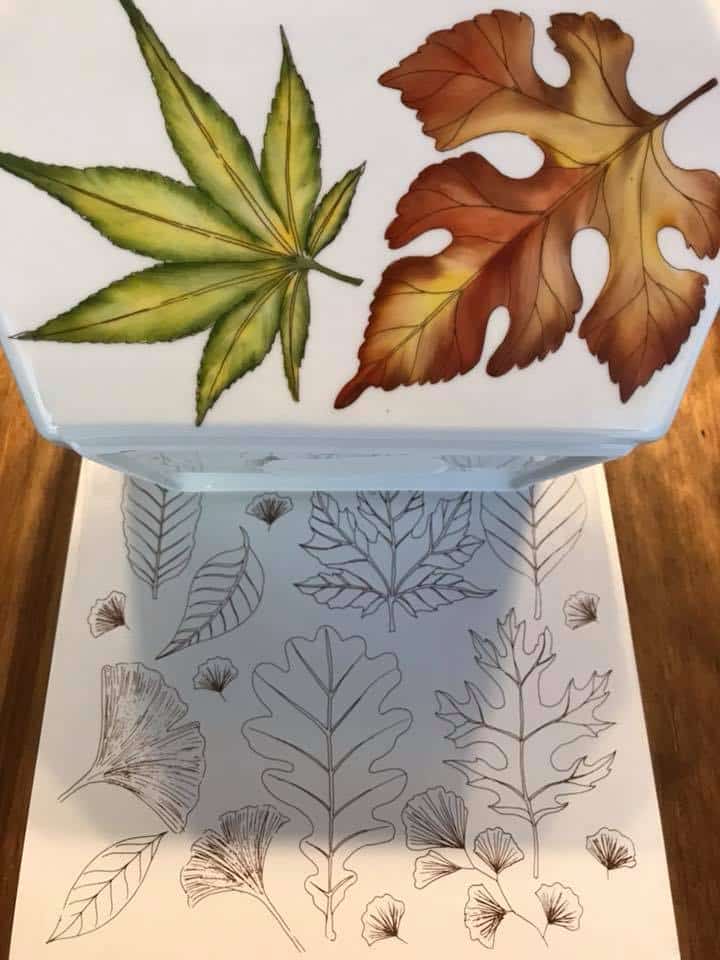 Calca Vitrificable para Porcelana 23x33, Diseño 163