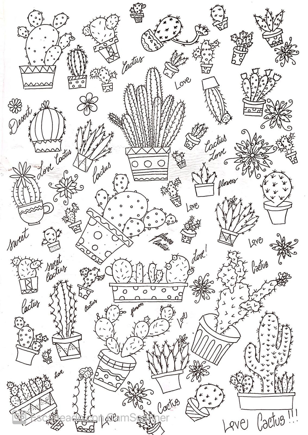 Calca Vitrificable para Porcelana 23x33cm, Diseño Número 39