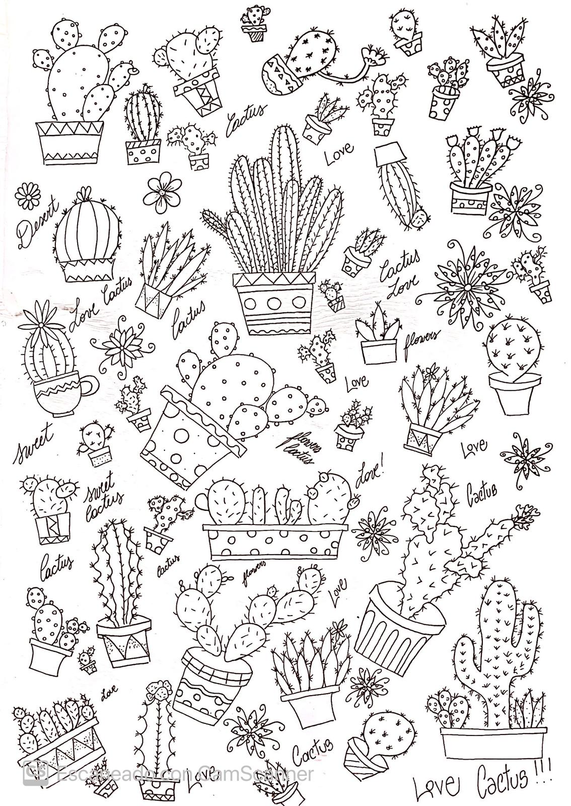 Calca Vitrificable para Porcelana 23x33cm, Diseño Número 39