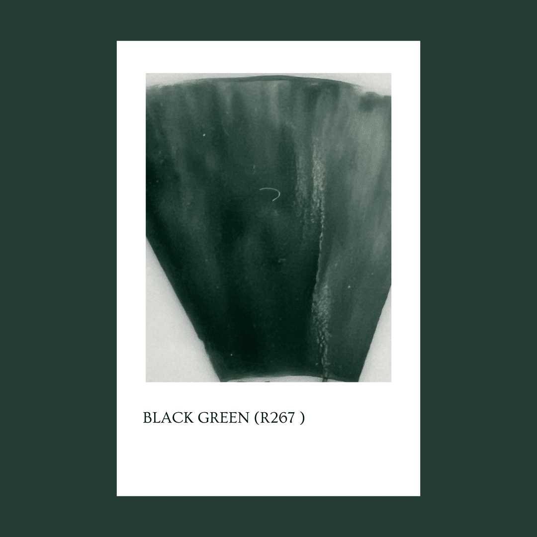 Pigmento Black Green (267R) 5gr