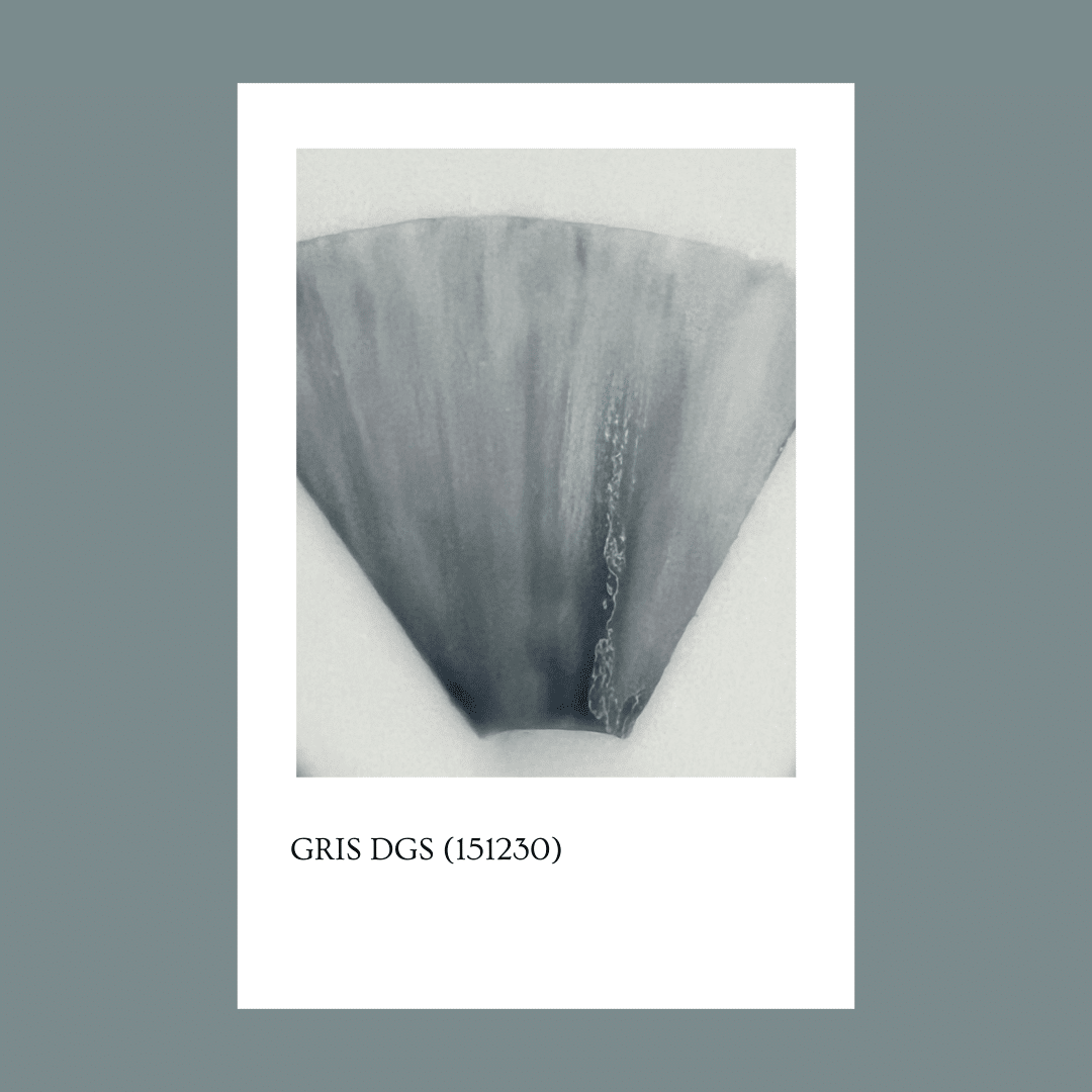 Pigmento Gris (151230D) 5gr