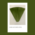 Pigmento Dark Leaf Green (071) 5gr -