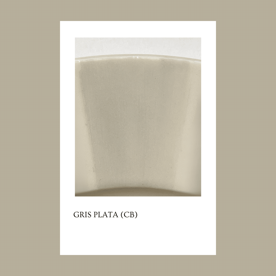 Pigmento Gris Plata (CB) 5gr