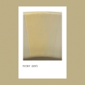 Pigmento Ivory (R87) 5 gr