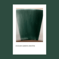 Pigmento Ocean Green 5 gr