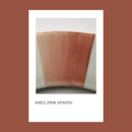 Pigmento Shell Pink 5 gs.