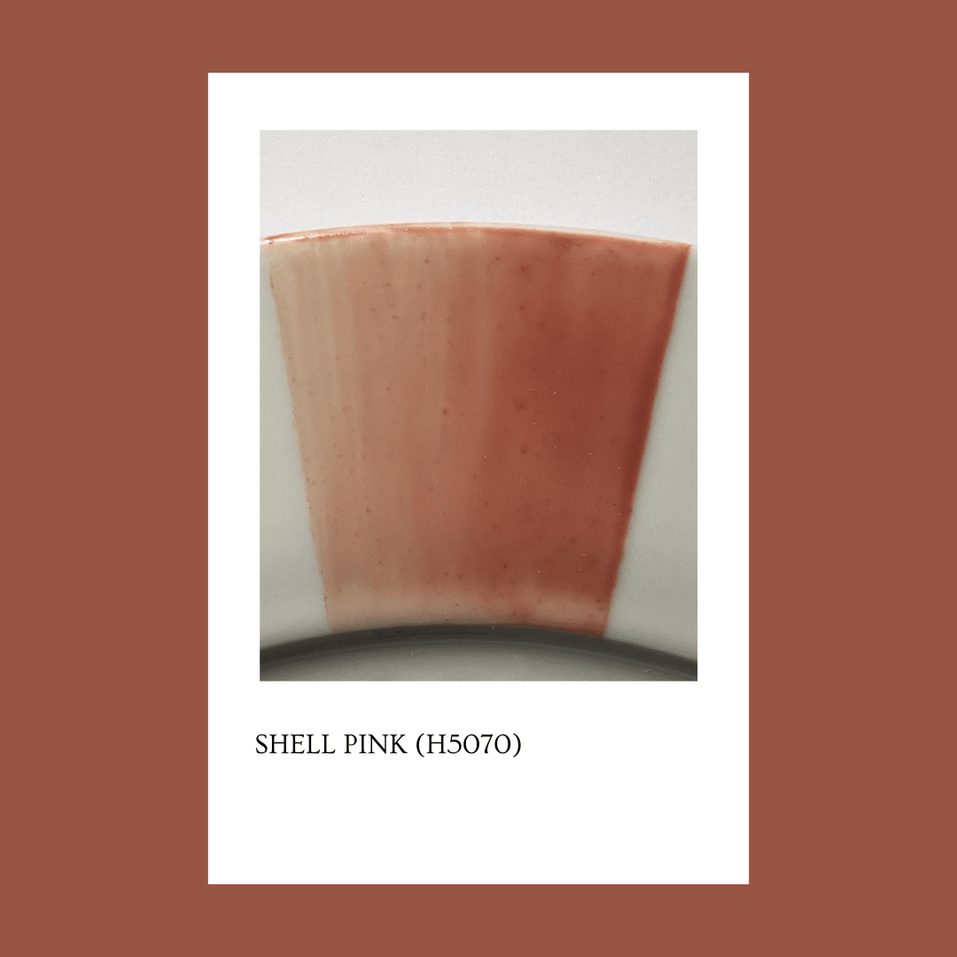 Pigmento Shell Pink 5 gs.