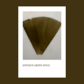Pigmento Antique green (071) 5gr