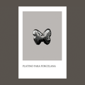 Platino Brillante para porcelana 2 gr.