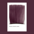 Pigmento Purple Grape 5gr