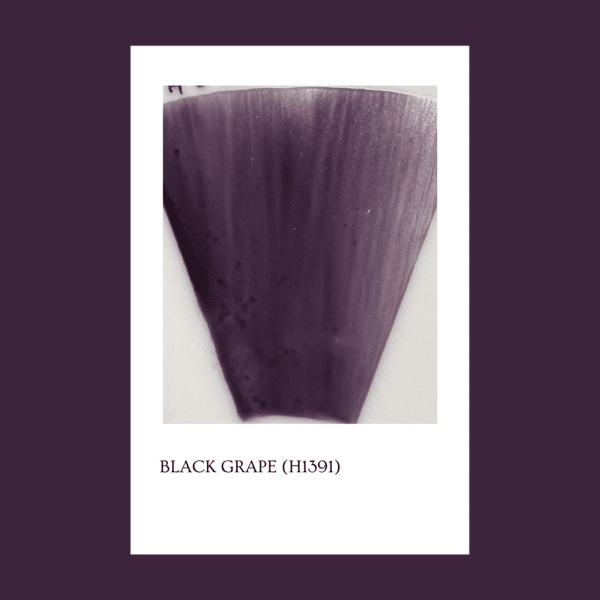 Pigmento Black Grape (H1391) 5gr
