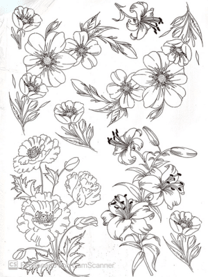 Taller de arte Verde Manzana Vajilla porcelana plato curso