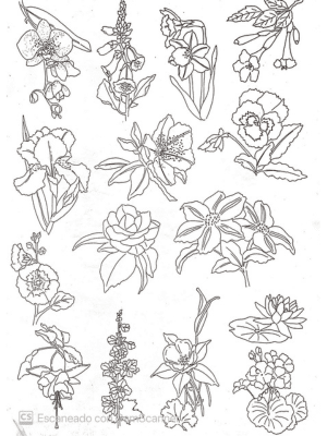 Taller de arte Verde Manzana Vajilla porcelana plato curso